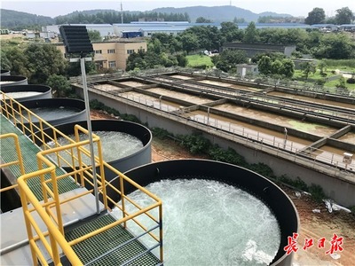 九峰明渠臨時污水處理設施高效運行，顯著削減入東湖污水量